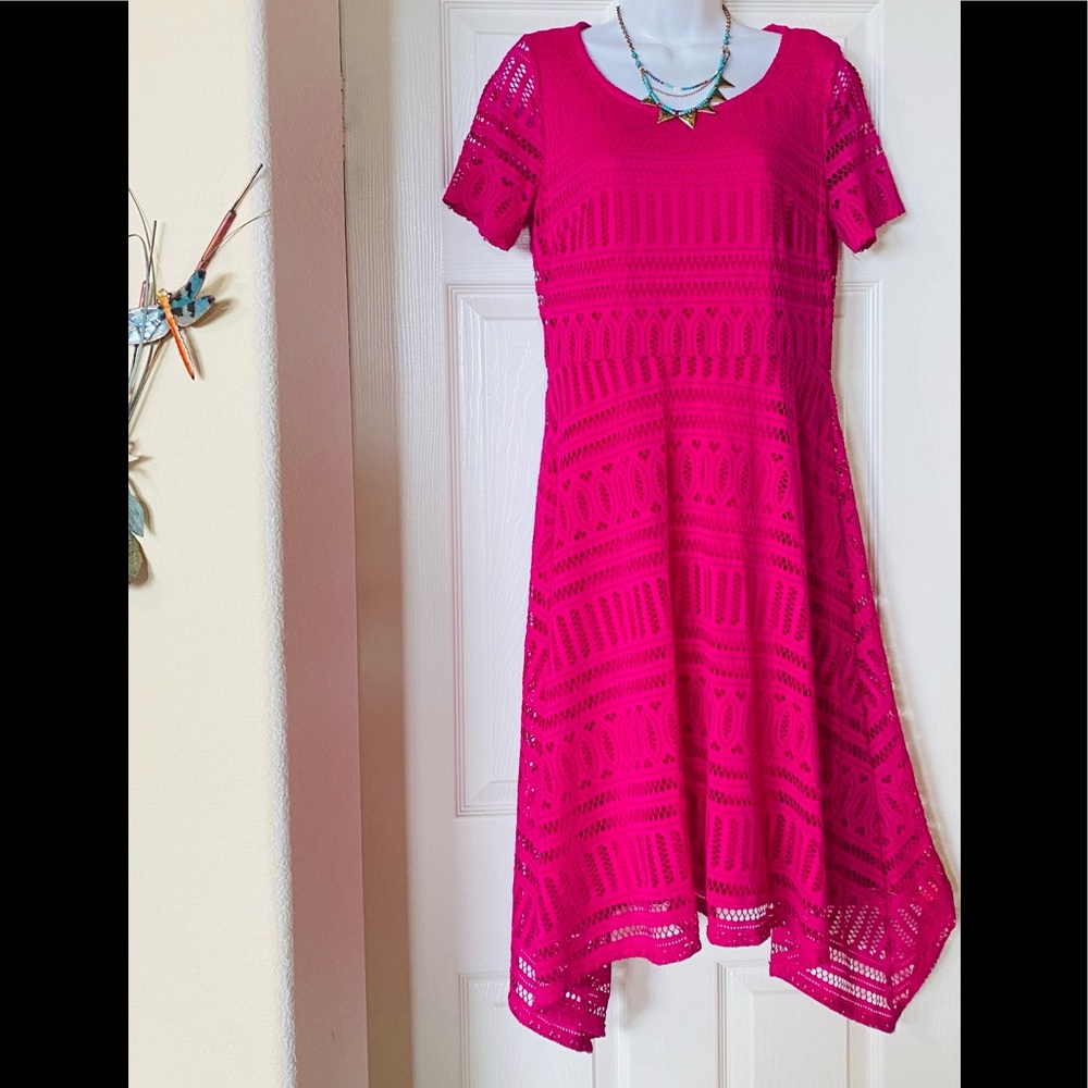🌺DANA BUCHMAN FUSCIA PINK DRESS🌺